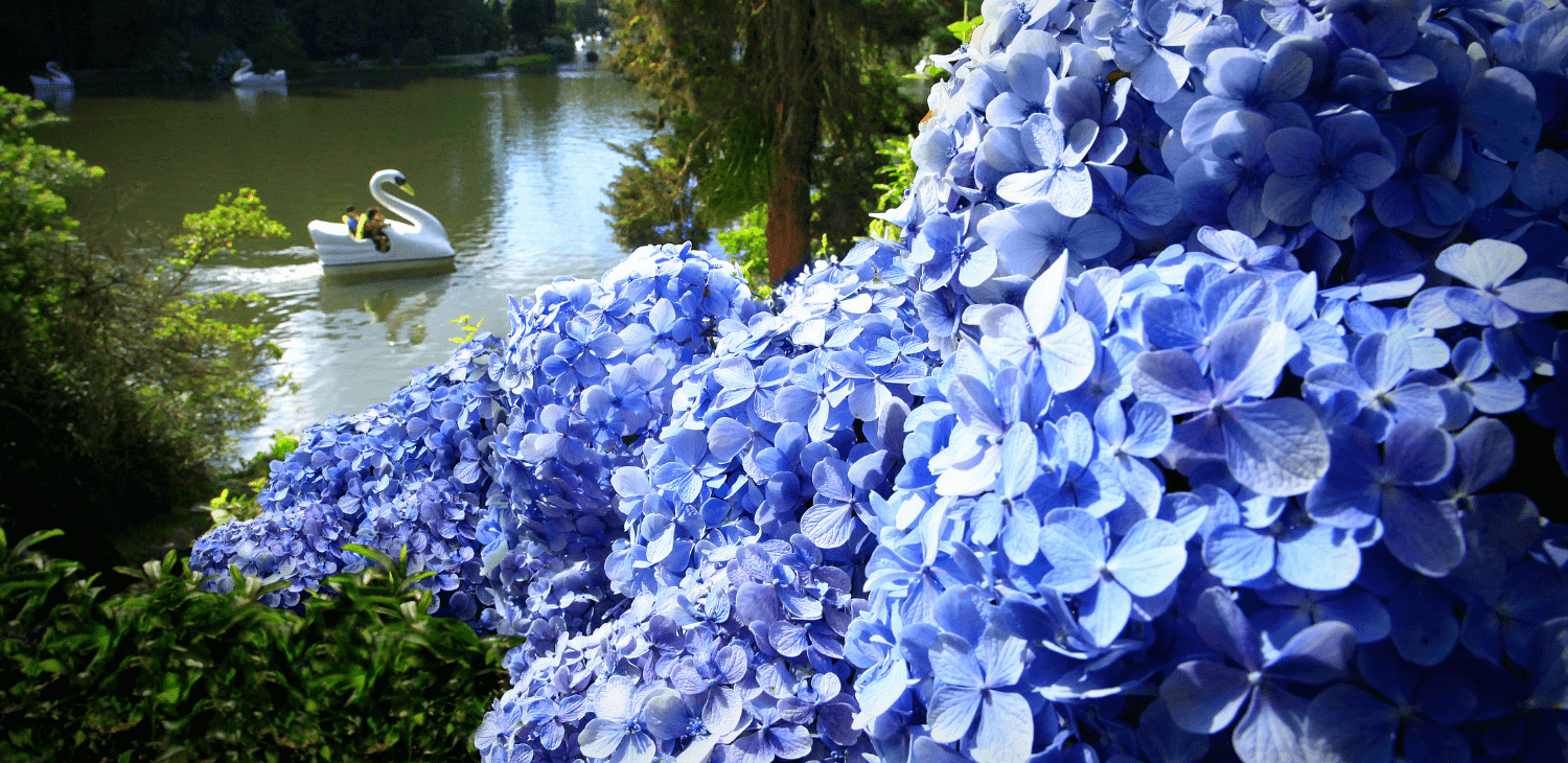 Caldeirão do Mion em Gramado no Lago Negro