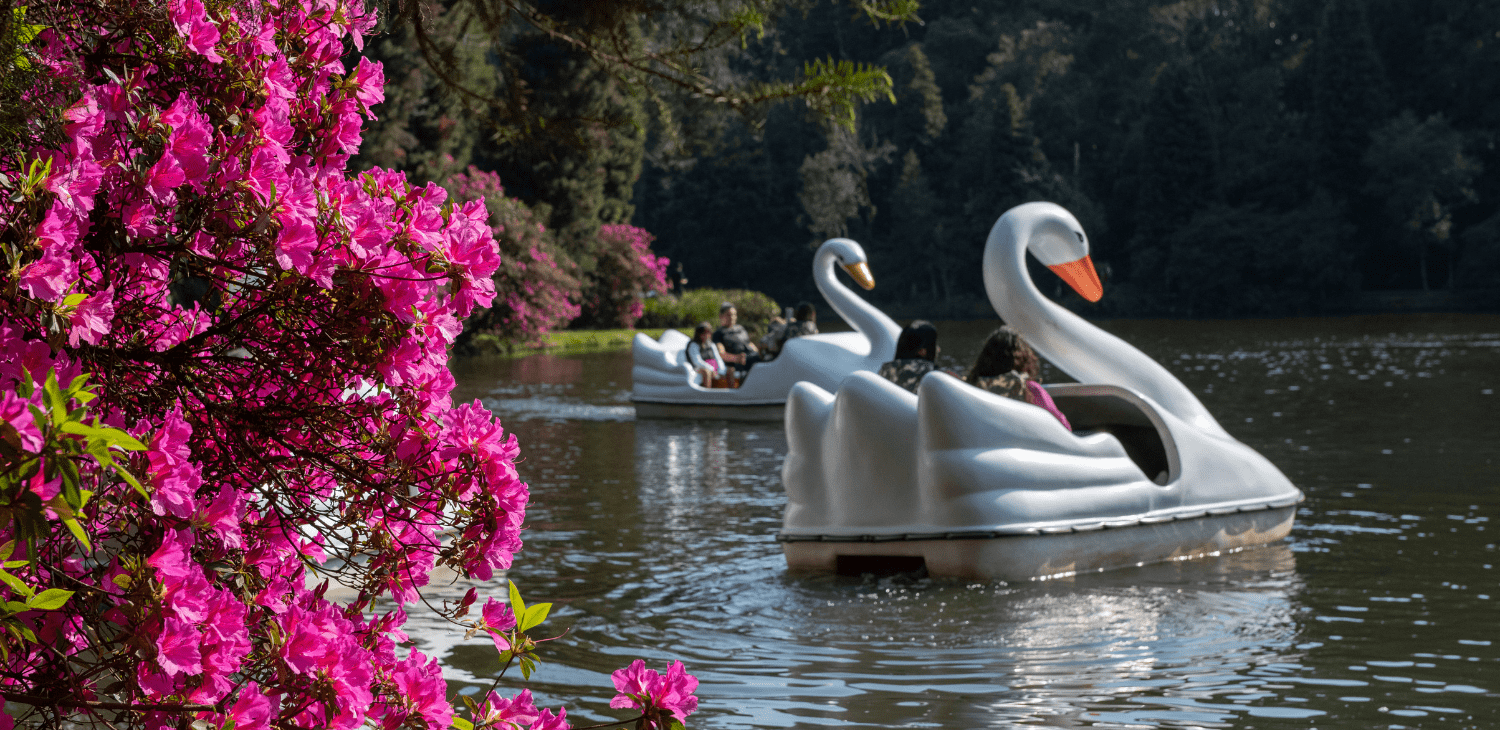 Feriados de 2026 devem levar 1,5 milhão de turistas a Gramado