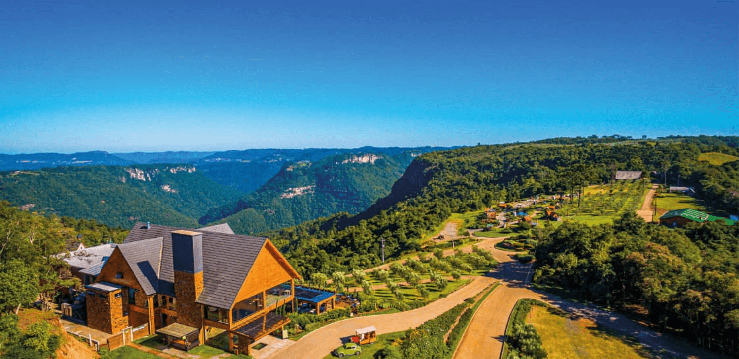 Olivas de Gramado comemora supersafra